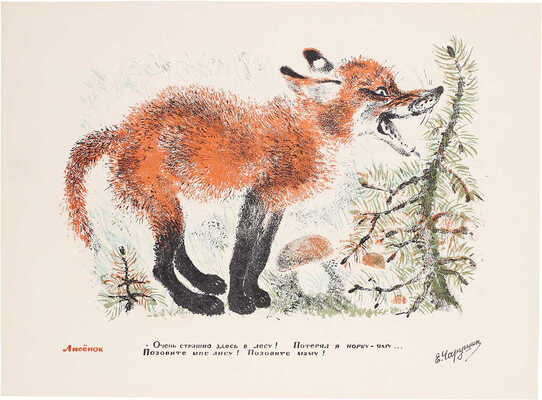 Чарушин Евгений Иванович. Лисенок